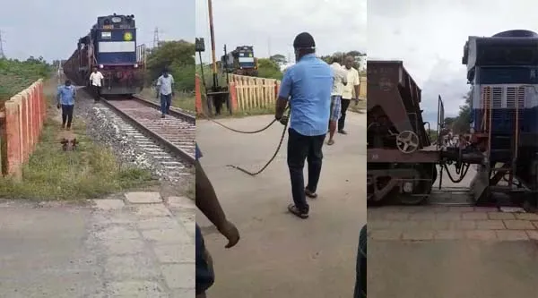 palani dindigul train